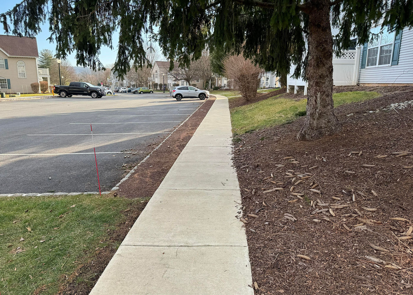 Society Hill concrete sidewalk and entry access project by ASRE photo 1