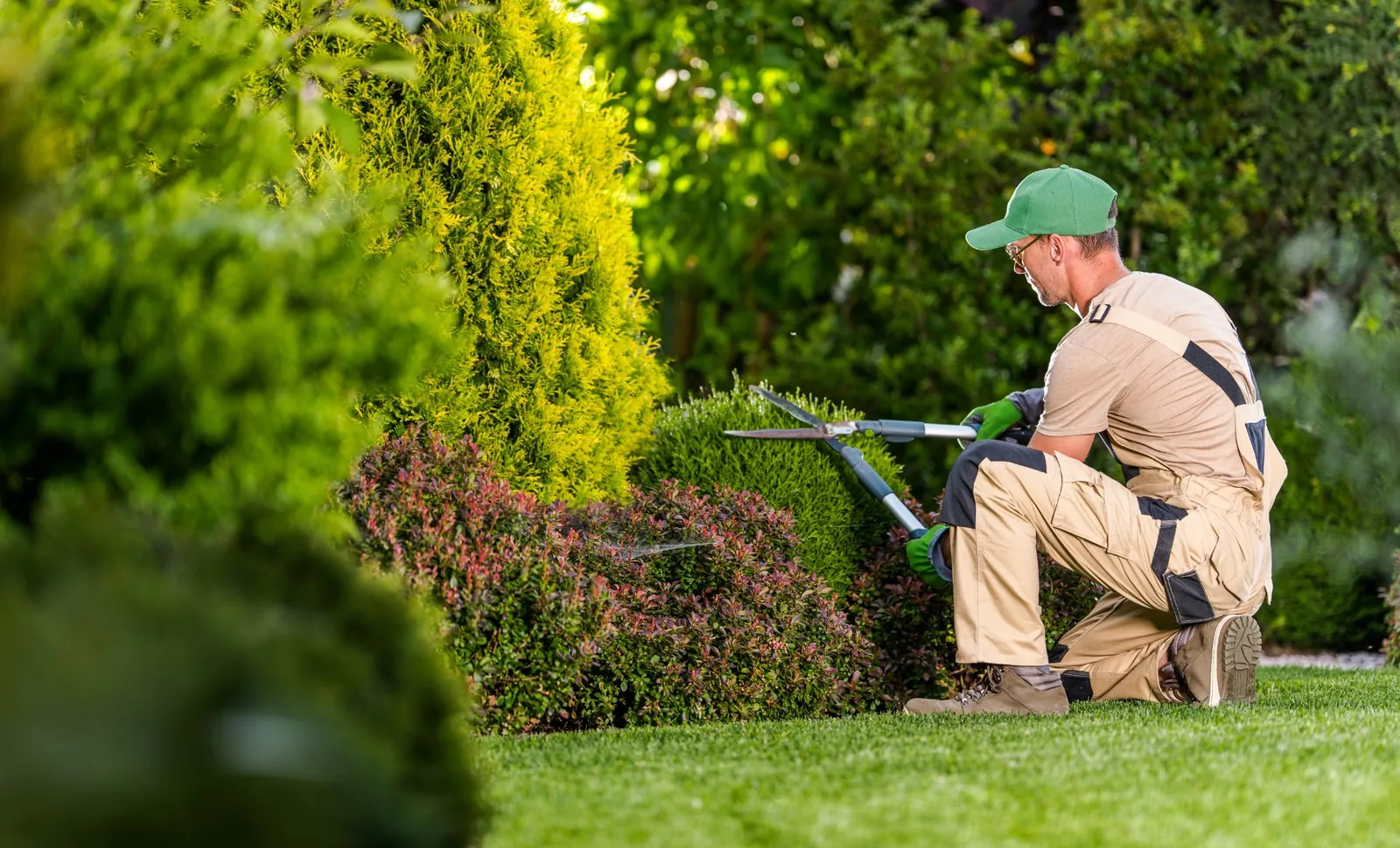 Garden, Lawn and Plant Care Planning